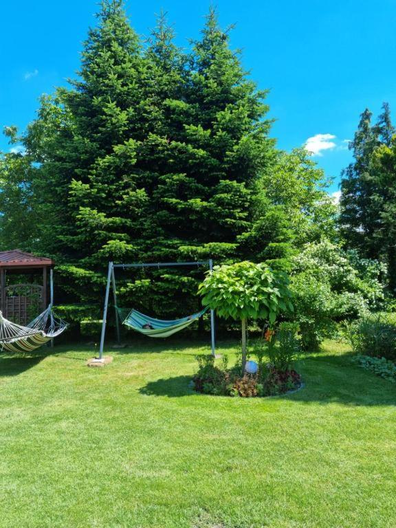 Pod Cisem Apartment Kierzkowo (Wejherowo)